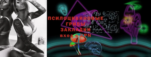 ПСИЛОЦИБИНОВЫЕ ГРИБЫ Володарск